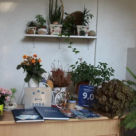 아파트먼트 베치츠 * 부드바